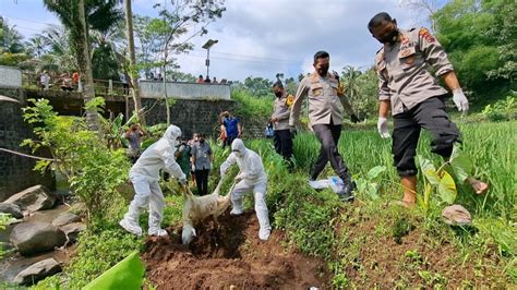 Hasil Laboratorium Bangkai Kambing Di Sungai Serang Negatif PMK Dan