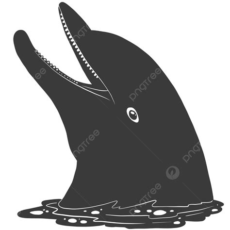 Dolphin Head, Dolphin, Lumba Lumba, Dolphin Fish PNG and Vector with Transparent Background for ...