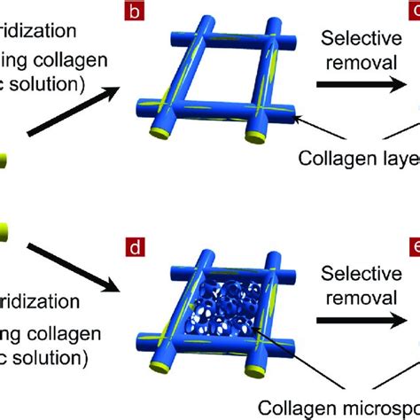 ATR FTIR Spectra Of PLGA Mesh Collagen Coated PLGA Mesh PLGA Collagen