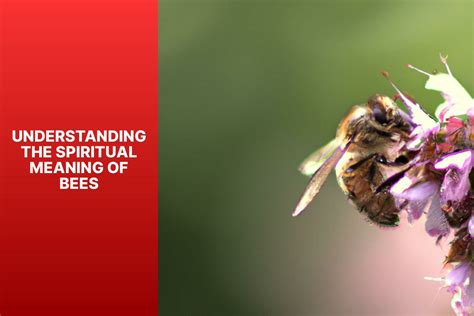 Bees Spiritual Meaning