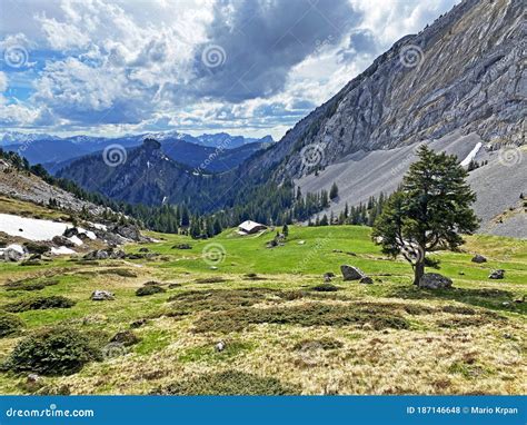 Alpine Pastures And Grasslands On The Slopes Of The Pilatus Massif And