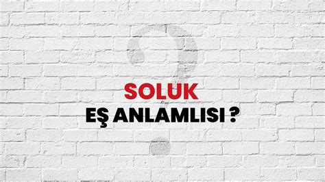 Soluk Kelimesi Eş Anlamlısı Nedir Habertürk