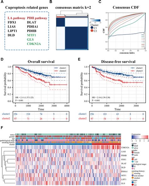 Frontiers Cuproptosis Related Gene Signature Correlates With The