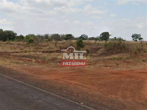 Mil Fazendas Fazenda BabaÃulÃndia 60 Alqueires 290 4 Hectares