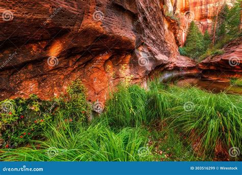 Stunning Shot Of Oak Creek Canyon Arizona Stock Image Image Of Breathtaking Canyonland