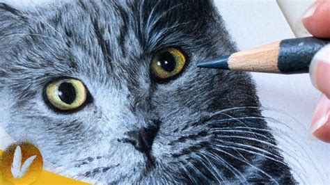 How To Draw Fur With Colored Pencils For Beginners Fur Drawing