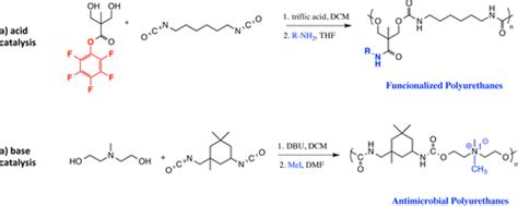 Synthesis Of Polyurethanes Using Organocatalysis A Perspective Macromolecules