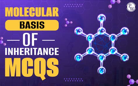 Molecular Basis Of Inheritance MCQ For NEET Biology