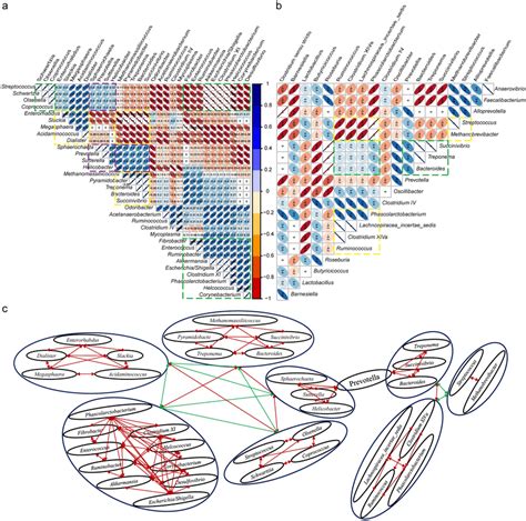 Spearman Correlation Analysis Between Genera Differential Genera A