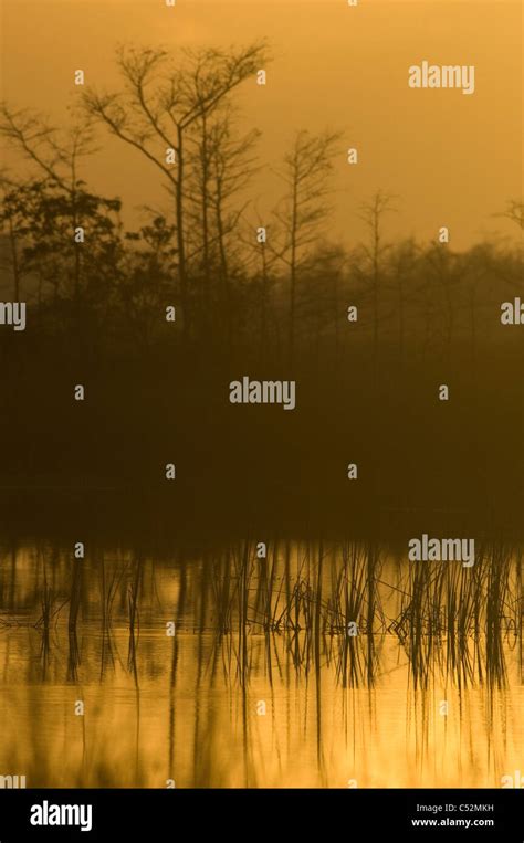 Everglades National Park Enp Landscape Wetlands Stock Photo Alamy