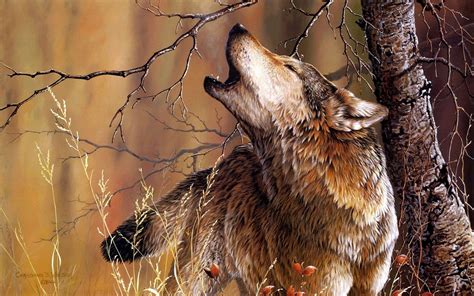 Autumn Wolf Wallpapers - Top Free Autumn Wolf Backgrounds - WallpaperAccess