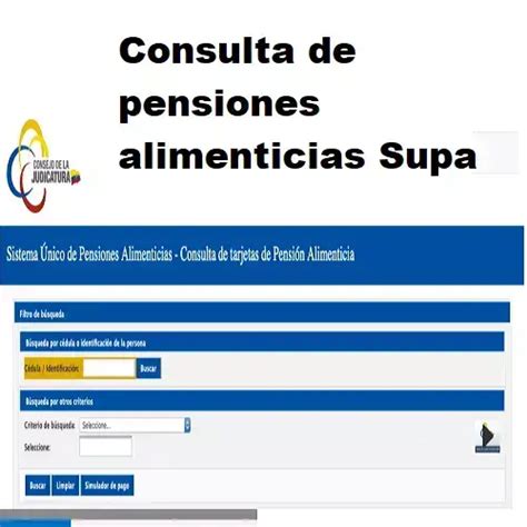 Consulta Pensiones Alimenticias Ecuador Supa Elyex