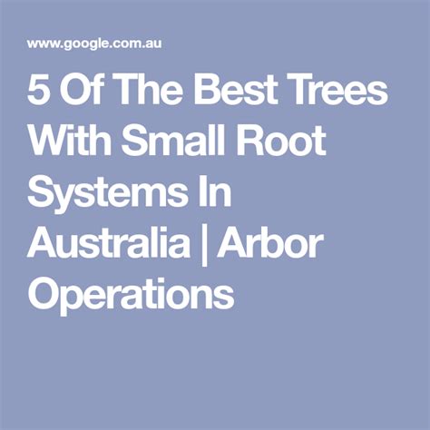 Of The Best Trees With Small Root Systems In Australia Arbor