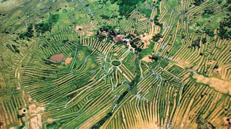 Los paisajes también se transformaron