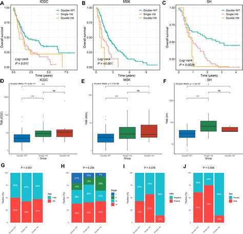 Frontiers Tp53 Kras Co Mutations Create Divergent Prognosis Signatures In Intrahepatic