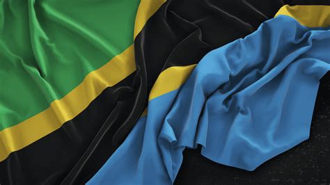 The Breakdown of Democracy in Tanzania | International Democracy Union