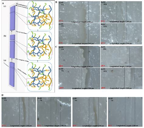 proposed  repairing mechanism   formed materials