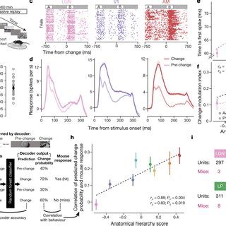 Data processing steps a, Data from the Neuropixels probe is split at ...