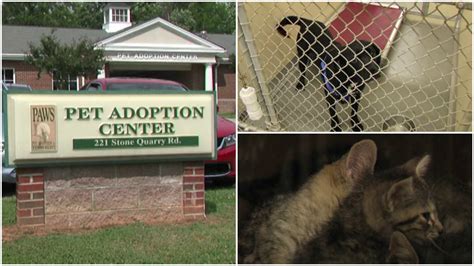 Alamance County Animal Shelter In Need Of Repair Fox8 Wghp