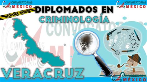 ≫ 12 Diplomados En Criminología En Veracruz ️【 Octubre 2024】