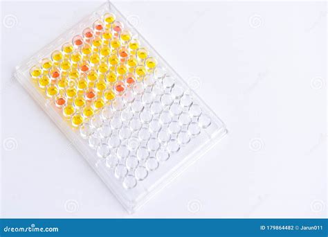 Enzyme Linked Immunosorbent Assay Or Elisa Plate Stock Photo Image Of