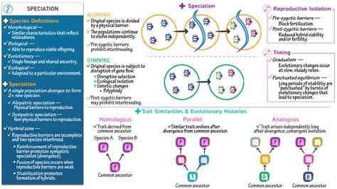 General Biology Speciation Ditki Medical Biological Sciences