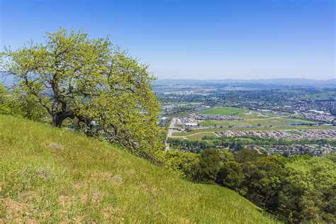 Pleasanton Ridge Regional Park