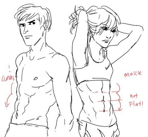 Pin By Jay Win On Drawingrefs How To Draw Abs Art Reference Drawing