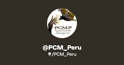 Pcm Peru Instagram Facebook Linktree