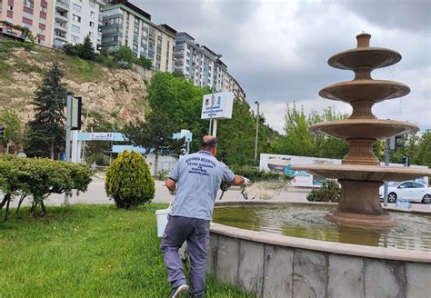 Larvasit Uygulamas Ve Ila Lama Al Mas Devam Ediyor Ke I Ren Beledyesi