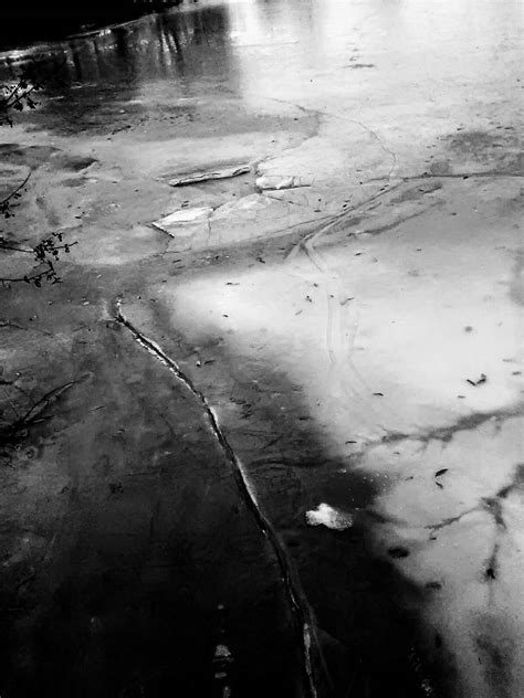 dark ice  wolfobeanz  deviantart