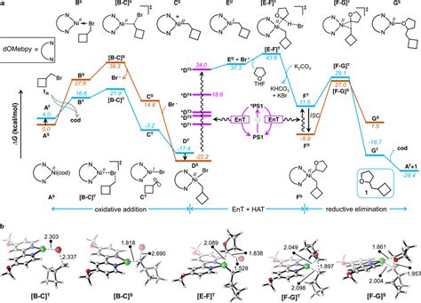 Dft Study A Computed Energy Profile For The Nickel Catalyzed Direct