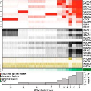 A Genome Wide Occupancy Of Cohesin CTCF Tissue Specific And