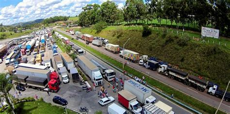 Strike Forces Brazil S Biggest Tilapia Producer To Halt Production