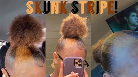 Tik Tok Skunk Stripe On My Natural Hair And Redying Youtube