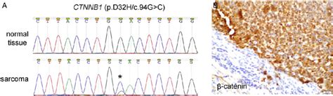 Molecular And Immunohistochemical Analysis Of Ctnnb Catenin In The