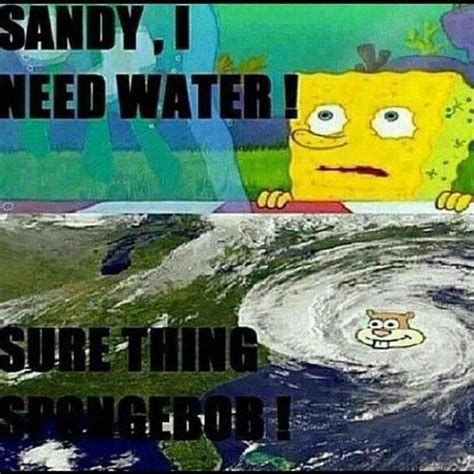 Hurricane Sandy Memes - Business Insider