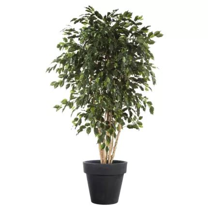 Ficus Artificiel Exotica Multi Tronc Cm Ficus