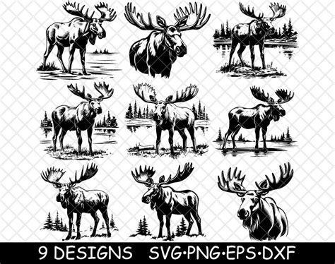 Bull Moose Antlers Habitat Wildlife Hunting Foraging Png,svg,eps,cricut,silhouette,cut,engrave ...