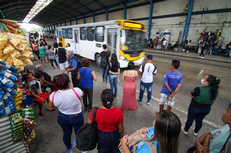 Projeto de Lei que institui passagem gratuita nos ônibus para a