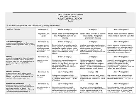 Care Plan Rubric