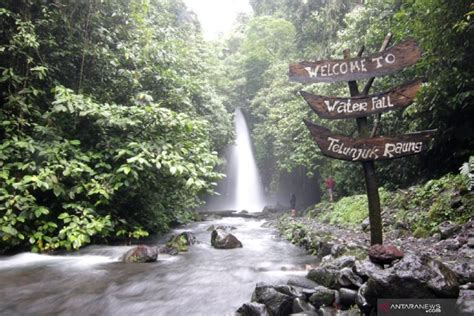 Menyibak Keindahan Air Terjun Telunjuk Raung Di Banyuwangi Genpi Co Jatim