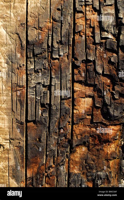 Burnt Wood Plank Texture Blackened Stock Photo Alamy