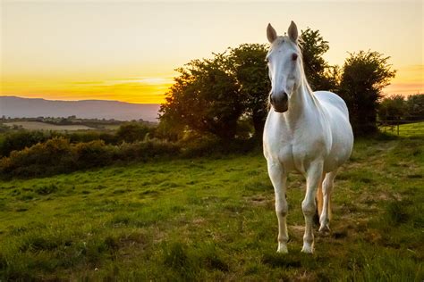 23 Thomas Bradley Sunset Killarney Camera Club Flickr