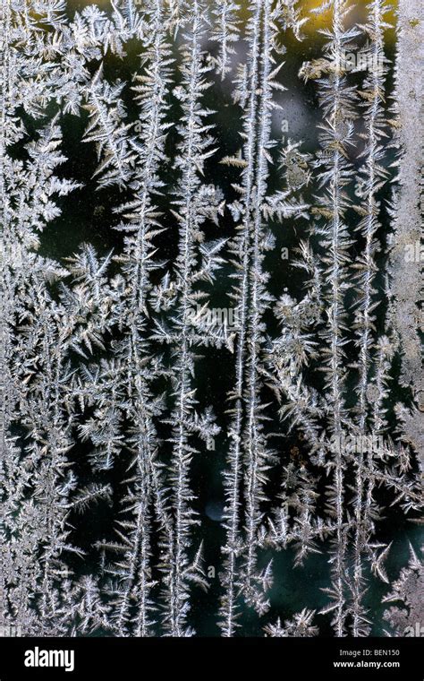 Ice Crystals Frost Flowers Forming On Frozen Window Pane During