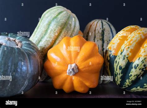 Golden Acorn Squash Carnival Squash Delicata Squash And Kabocha