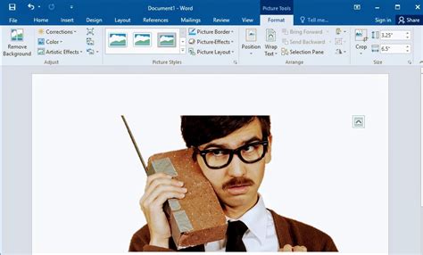 How To Remove An Image Background Using Microsoft Word Dignited