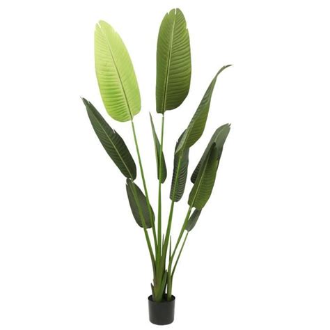 Plante Artificielle Oiseau De Paradis Cm Faux Palmier Tropical