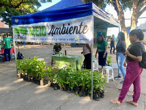 Mudas De Rvores S O Distribu Das Em Alus O A Semana Municipal Do Meio