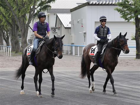 友道厩舎の良血馬が続々と函館でデビュー前の下地作り ダービーv2へ北の大地で研さん／pog 2歳馬特集 競馬写真ニュース 日刊スポーツ